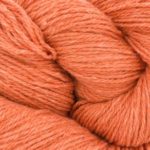 Bio_Balance_17 Orange