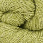 Bio_Balance_4 Limette