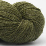 BC Bio Shetland oliv
